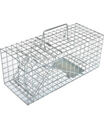 Anyhall live animal for sale  ACCRINGTON