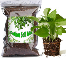 Organic pothos soil for sale  Glen Cove