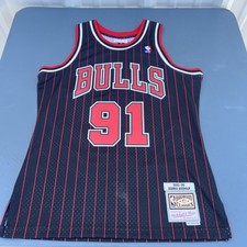 1995 dennis rodman for sale  Ogden