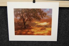 Carol gibson sayle for sale  Houston