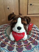 Keel laying puppy for sale  SAXMUNDHAM