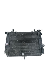 Radiatore acqua yamaha usato  Massa di Somma