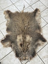 Wildschweinfell schwarzwildfel gebraucht kaufen  Ratingen