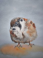 Aquarell bild spatz gebraucht kaufen  Schmitten im Taunus
