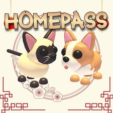 Usado, Gato Siamês-Buldo Francês-Gato Munchkin-Homepass ¡Adote seus animais de estimação!-ENTREGA RÁPIDA comprar usado  Enviando para Brazil