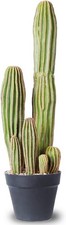 Artificial cactus fake for sale  Boonton