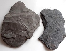 Fossil ammonit schieferplatten gebraucht kaufen Fossil ammonit schieferplatten gebraucht kaufen  Waibstadt