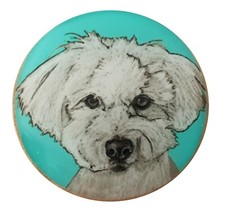 coton tulear d'occasion coton tulear d'occasion Expédié en Belgium