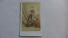 Cdv .subercaze pau d'occasion  Biganos