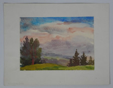 Aquarell aranka wirsching gebraucht kaufen  Dachau