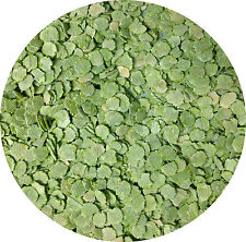 Flaked peas 500g for sale  LEIGHTON BUZZARD