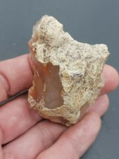 Upper paleolithic prob. d'occasion  Bonneville