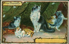 Image ancienne chromo d'occasion Image ancienne chromo d'occasion  France