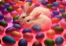 Hallmark happy easter for sale  Pelham