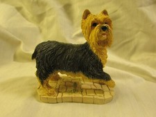 Look border fine for sale  TURRIFF