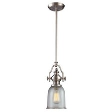 Chadwick mini pendant for sale  Fleming Island
