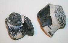 versteinerungen seeigel gebraucht kaufen versteinerungen seeigel gebraucht kaufen Dietenhofen