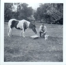 Vintage 1950s photo for sale  El Cerrito