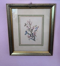 Vecchie stampe fiori usato  Gergei