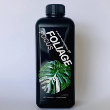 Foliage focus plant for sale  Queen Creek