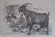 Cadiou pierre gravure d'occasion  Paris XII