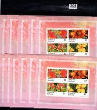 NP 11X ANTIGUA Y BARBUDA - MNH - NATURALEZA - FLORES - ORQUÍDEAS - FLORA  segunda mano  Embacar hacia Argentina