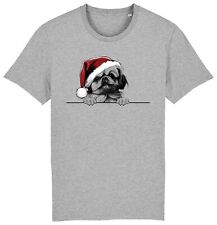 Pekingese christmas dog for sale  PONTYPRIDD