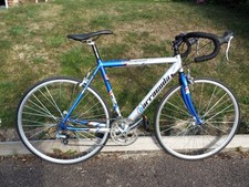 Barracuda azzuri speed for sale  ROYSTON