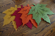 Autumn fall maple for sale  Oakridge