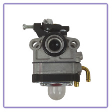 Carburatore per decespugliator usato  Altavilla Silentina
