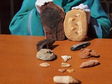 Fossil collection mosasaur for sale  Tucson