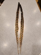 Matched hybrid ringneck for sale  Hill City