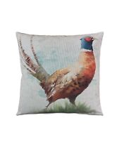 Large pheasant small for sale  NOTTINGHAM