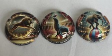 Capsules champagne julie d'occasion Capsules champagne julie d'occasion  Combles