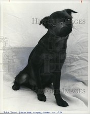 1976 press photo for sale  Memphis