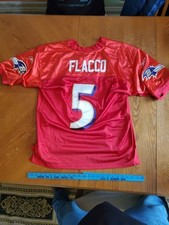 Baltimore ravens joe for sale  Glen Allen