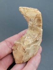 Middle paleolithic neanderthal d'occasion  Expédié en Belgium