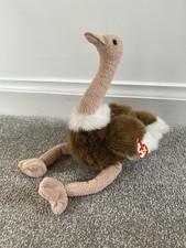 1998 stretch ostrich for sale  LEICESTER