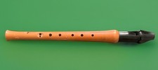 Rosetti descant wooden for sale  TAUNTON