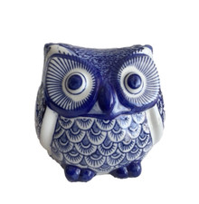 Owl blue white for sale  Miami