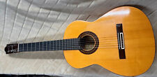 Flamenco gitarre manuel gebraucht kaufen  Regensburg