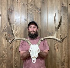 Dark freak 7x6 for sale  Port Matilda