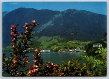 Postcard brunnen 25p for sale  Newtown
