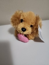 Hobby lobby puppy for sale  Roscoe