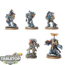 Space wolves grey gebraucht kaufen  Hof