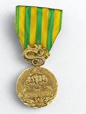 Médaille commémorative campa d'occasion Médaille commémorative campa d'occasion  Graulhet