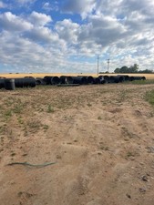 Dog training exercising for sale  RETFORD