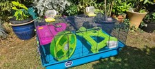 Large hamster cage for sale  EPPING