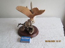 Flying barn owl for sale  POOLE