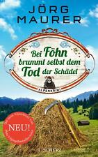 Föhn brummt dem gebraucht kaufen  Düsseldorf